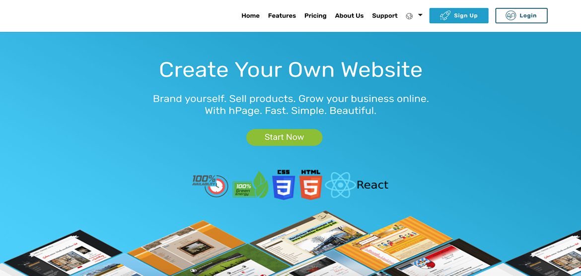 Build Business Website